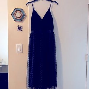 Express - Black velvet top with polka dot sheer dress